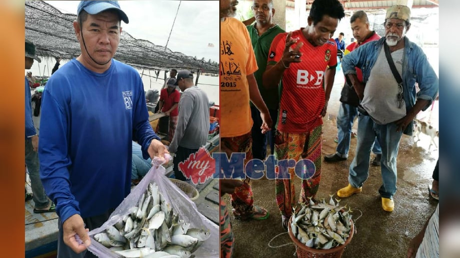 ALIAS Ismail, 48, menunjukan hasil ikan termenung yang diperolehinya hari ini. Nelayan menanti orang tengah membeli ikan termenung di pasar bisik Kampung Tepi Sungai, Kota Kuala Muda. FOTO Omar Osman