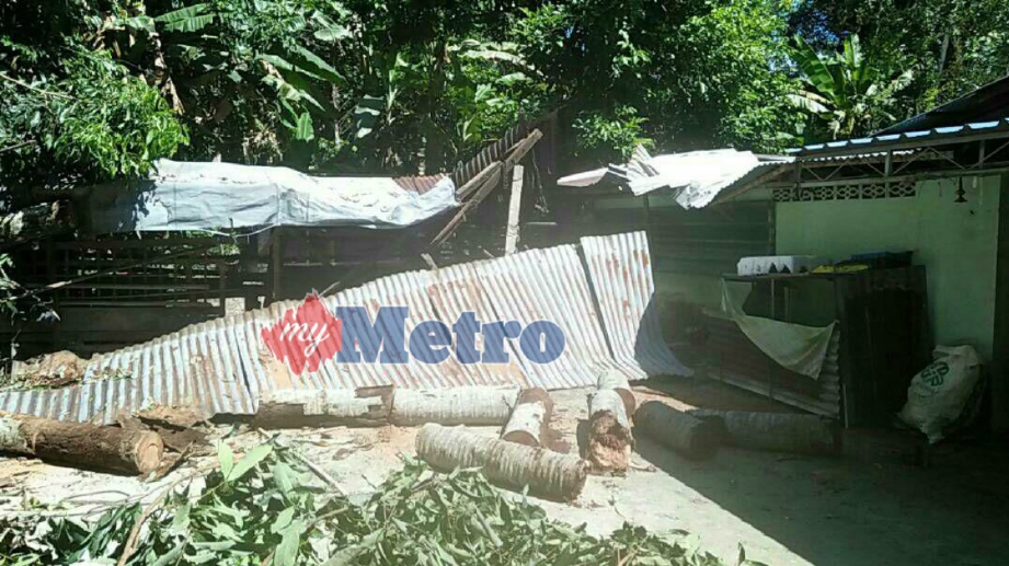 KEADAAN rumah mangsa yang ditimpa pokok kelapa. FOTO Ihsan APM