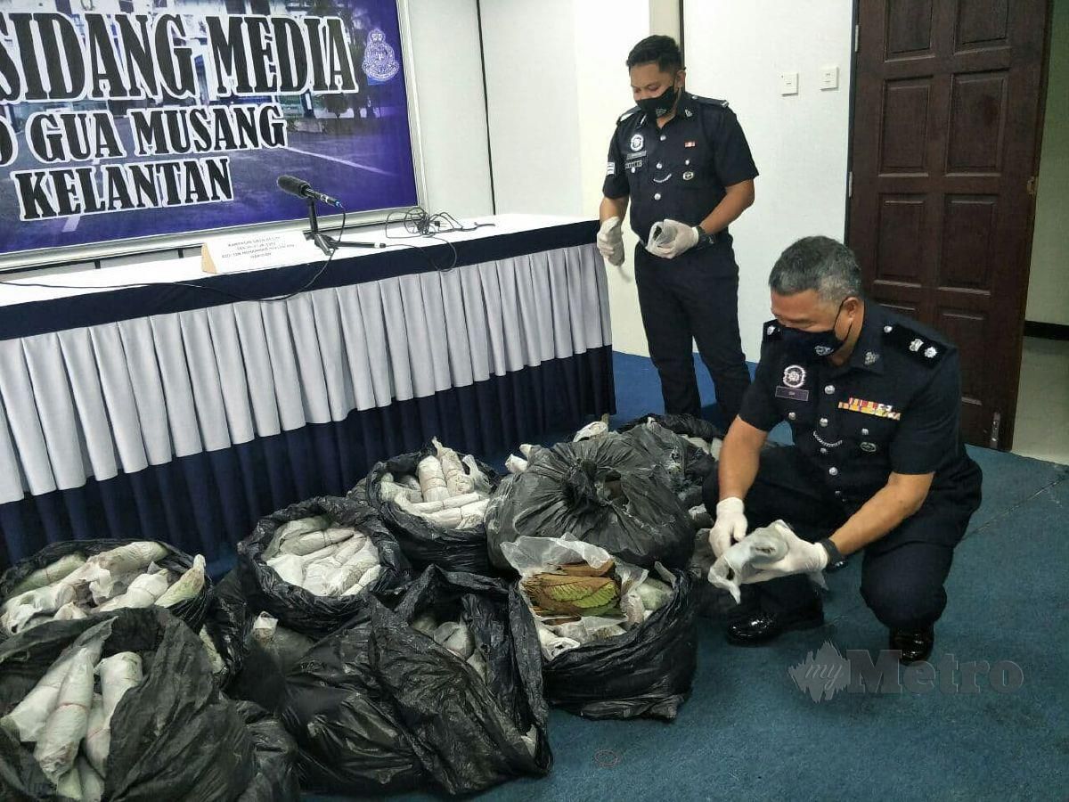 Ketua Polis Daerah, Superintrndan Sik Choon Foon (kanan duduk) tunjuk sebahagian 760 kilogram daun ketum yang dirampas dalam dua kereta dan seorang suspek berjaya ditahan manakala seorang lagi melarikan diri. FOTO RAMLI IBRAHIM