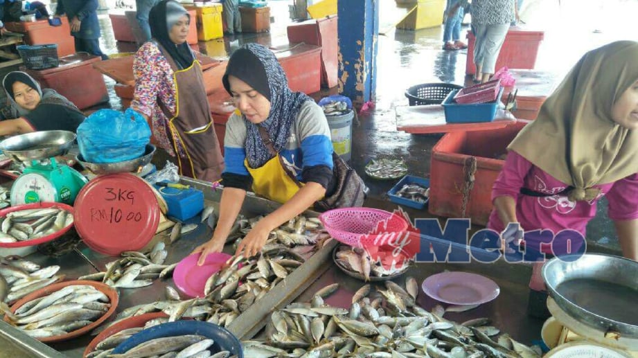 PENIAGA ikan di pelantar ikan Kampung Seberang Kota, Kuala Kedah, Melati Ladun, 36, menjual ikan kembung pada harga RM10 untuk tiga kilogram, hari ini. FOTO Zuliaty Zulkiffli