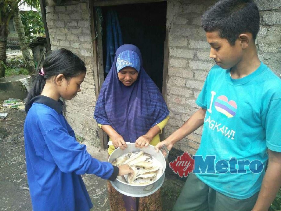 Mohd Firdaus Rosli, 15, (kanan) dan adiknya, Siti Aisyah (kiri) bersama ibu mereka, Norazizah Md Akhir, 50, mengeringkan ikan puyu untuk dijual bagi menampung kehidupan mereka. FOTO Zuliaty Zulkiffli