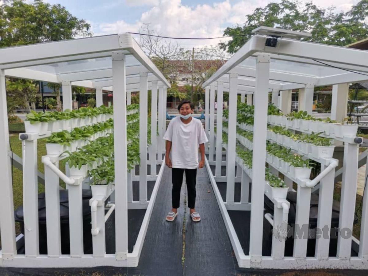 MUHAMMAD Benyamin, 13, menghasilkan produk tanaman hidroponik diberi nama sebagai Eduponix sejak PKP lalu. FOTO Ihsan Sarbi Mat Nah