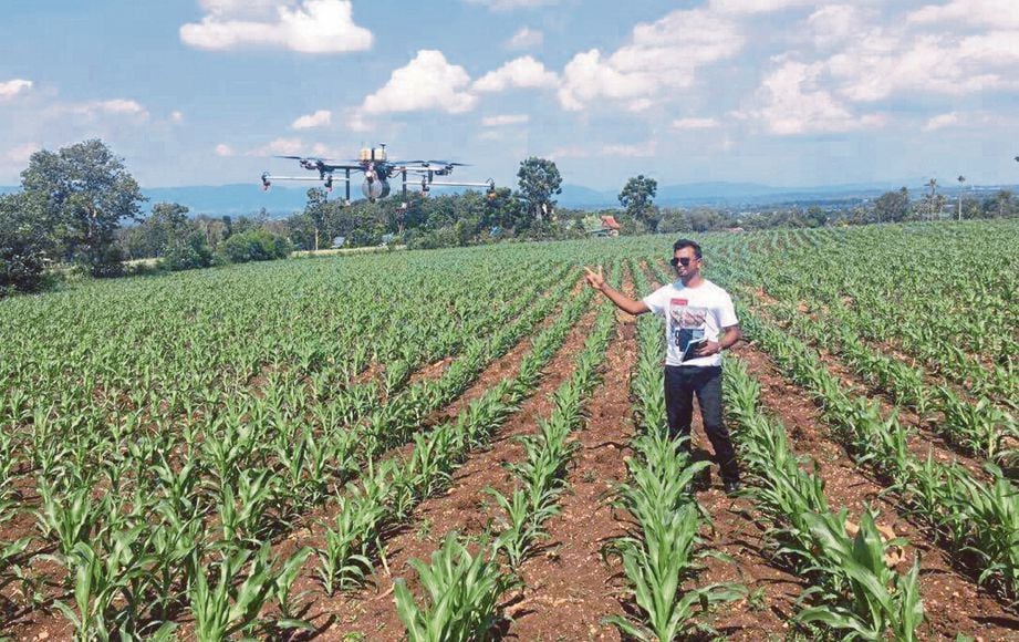 RAMANA mengawal dron untuk membaja ladang jagung yang diusahakan.