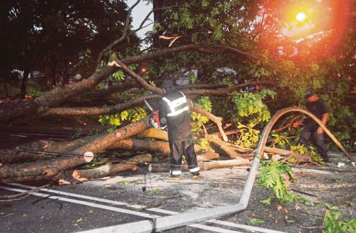  KAKITANGAN  Majlis Bandaraya Shah Alam berusaha memotong pokok yang tumbang  berdekatan Stadium Melawati, Shah Alam.