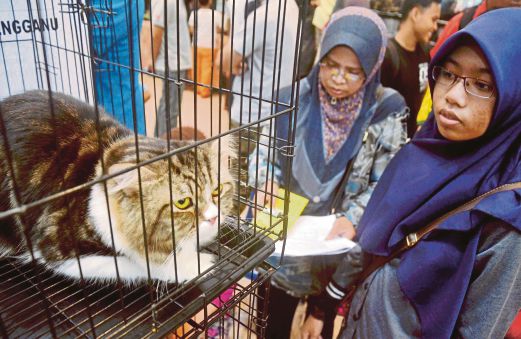 ANTARA mereka yang hadir menyaksikan  Pertandingan Kucing Terbesar Di Dunia di Perpustakaan Awam Negeri, Terrenganu.