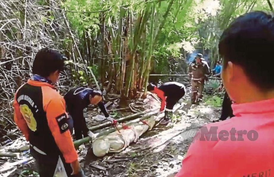 PASUKAN penyelamat membawa keluar mayat Sanchai yang maut akibat disengat tebuan di utara Thailand. FOTO AGENSI 