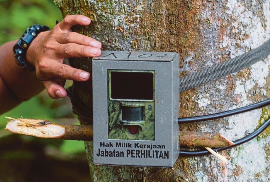 KAMERA yang dipasang Jabatan PERHILITAN di Taman Botani Negara, Shah Alam.