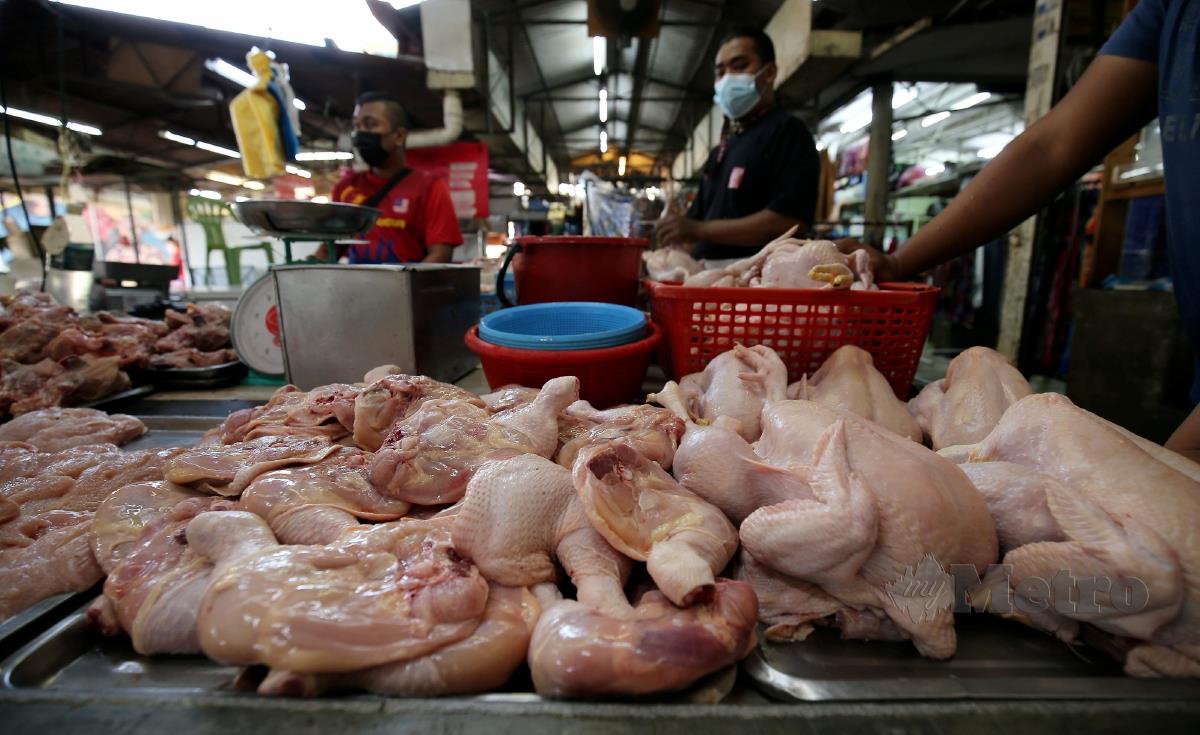 Peniaga masih menjual ayam dengan harga RM10.00 sekilo ketika tinjauan di Pasar Awam Pulau Tikus di sini, walaupun harga RM8.90 seekor ayam yang ditetapkan oleh Kementerian Perdagangan Dalam Negeri dan Hal Ehwal Pengguna (KPDNHEP) bagi mematuhi Skim Harga Maksimum Keluarga Malaysia (SHMKM) berkuatkuasa hari ini hingga 5 Jun. FOTO MIKAIL ONG