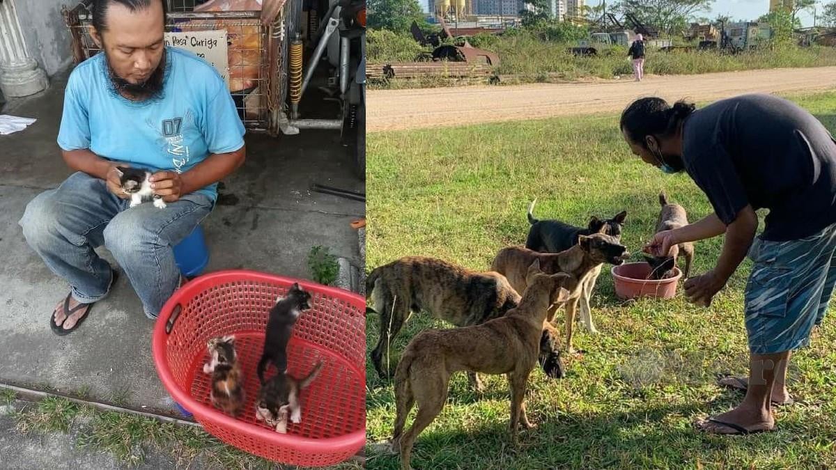 Khairul Anua memberi makan kepada anjing dan kucing terbiar. FTO Ihsan Khairul Anua