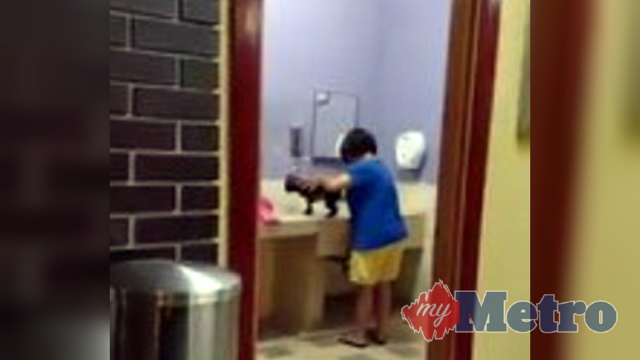 PAPARAN video yang menunjukkan wanita memandikan anjing di bilik tukar lampin bayi di Kawasan Rehat dan Rawat (R&R) Tapah sehingga menimbulkan kemarahan netizen. FOTO Ihsan Farah Shafiza