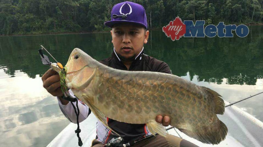 MOHD Musthakim Mohd Din,28, Kampung Losong Haji Mat Shafie menunjukkan ikan kelisa yang dipancing di Tasik Kenyir. FOTO Ahmad Rabiul Zulkifli