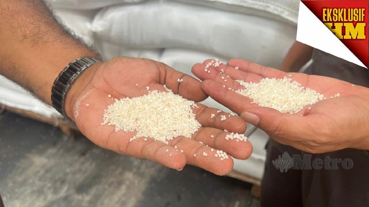 PENGUAT kuasa KPB menunjukkan beras hancur dalam kampit beras ketika pemeriksaan di sebuah kilang beras di Shah Alam.
