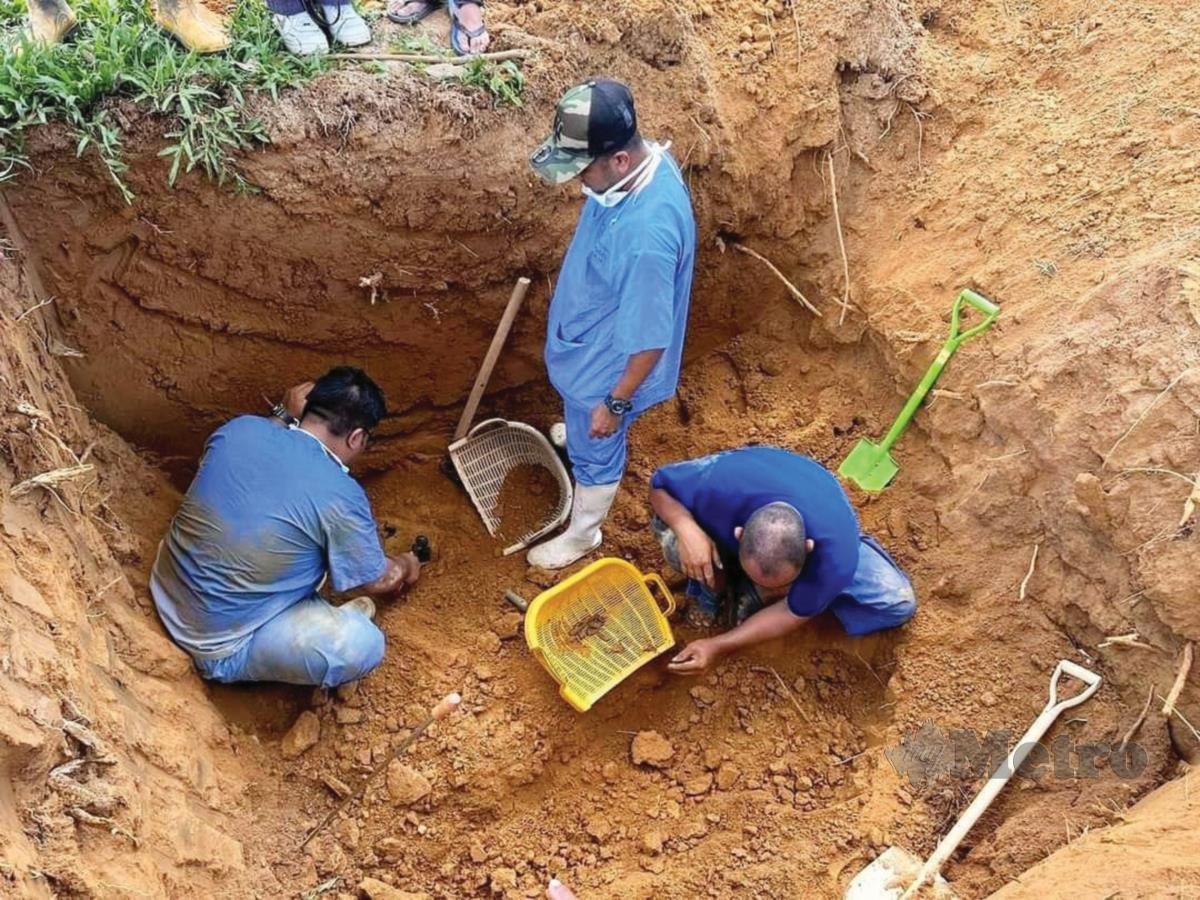 ANGGOTA Unit Forensik HTAA mengumpul tulang dan tanah hitam dalam pusara lama di Tanah Perkuburan Tanjung Betong untuk dipindahkan.