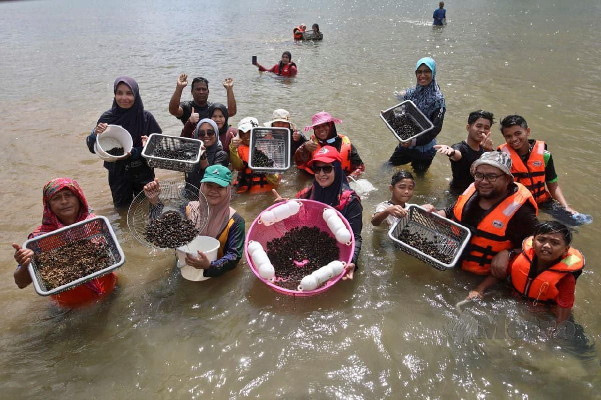 Orang ramai mengambil peluang mencari Etak di pesisir Sungai Kampung Pulau Manis, Serada selepas paras air sungai berkenaan semakin cetek akibat cuaca panas berpanjangan sejak bulan lalu. FOTO GHAZALI KORI
