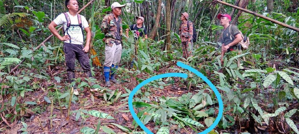  Antara kesan yang dipercayai laluan digunakan mangsa ditemui di dalam kawasan hutan berkenaan. FOTO Ihsan Bomba