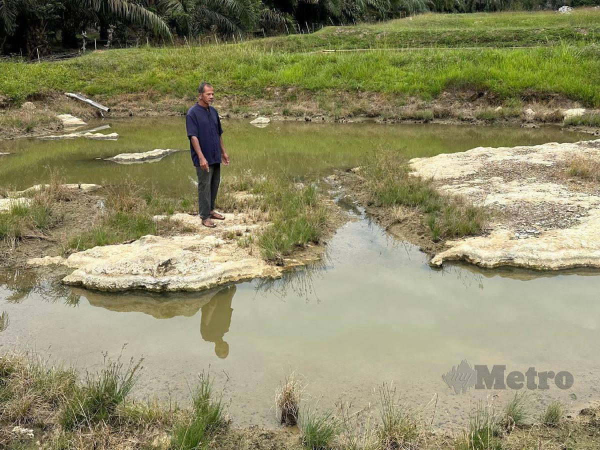 Mat Nawi melihat keadaan kolam ikannya yang kini kering akibat cuaca panas di Kampung Lepan, di sini. FOTO Paya Linda Yahya