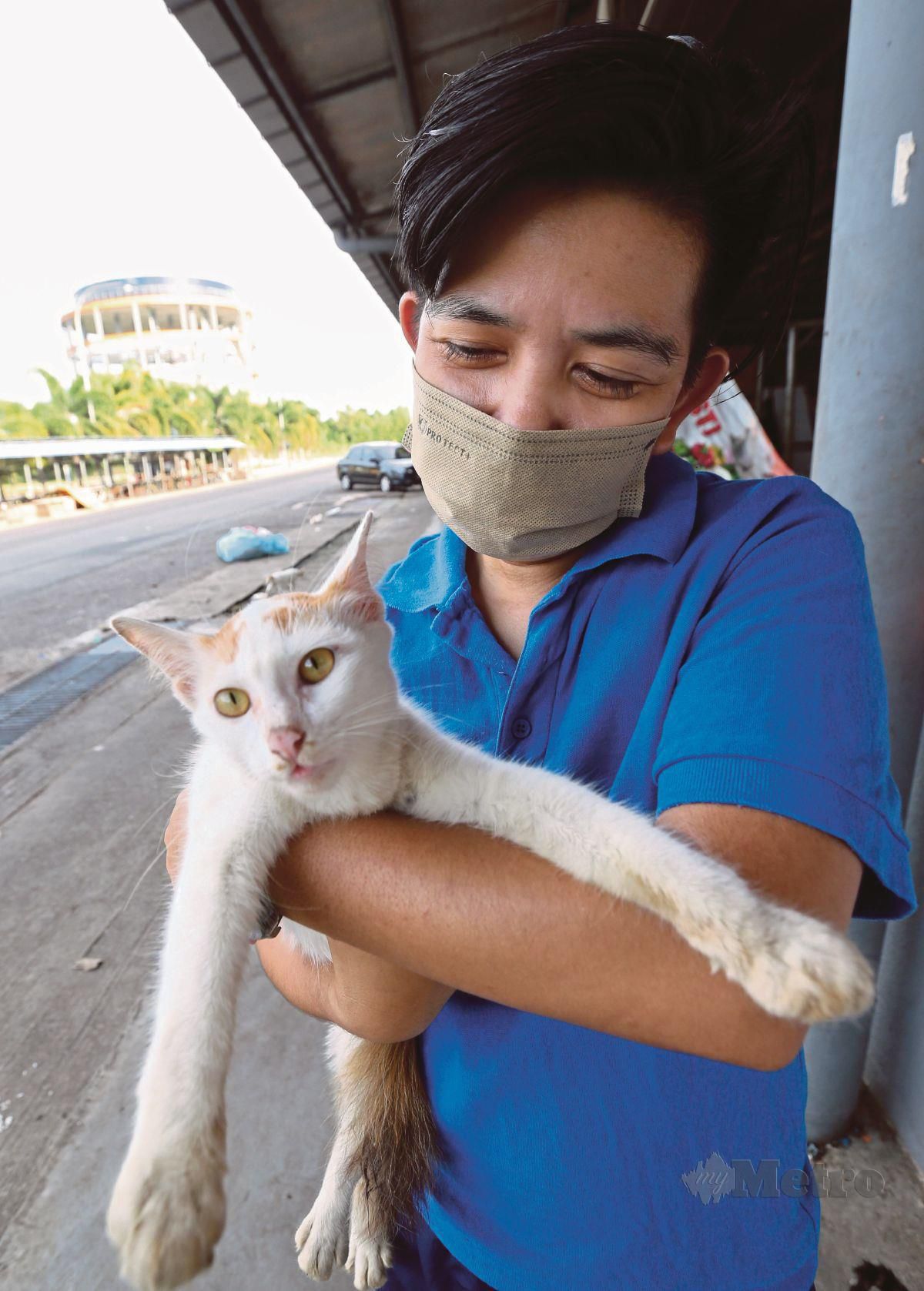 NUR Azira puas dapat selamatkan kucing jalanan.  