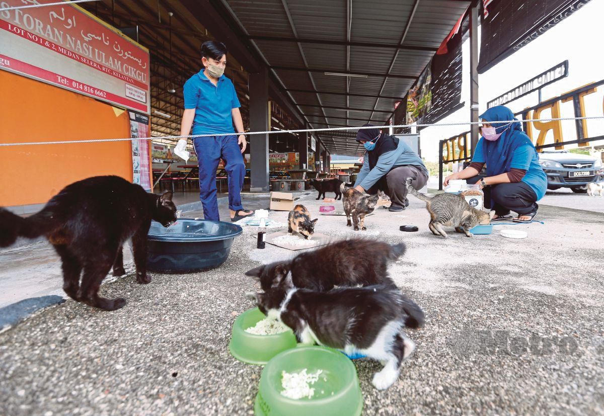 SEBANYAK 18kg makanan dibawa untuk kucing di RTC.