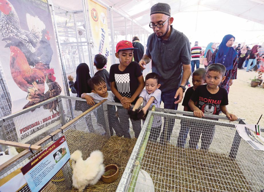  ORANG ramai melihat ayam sutera  di ruang pameran  Ekspo Muafakat Kedah di  pekarangan Stadium Darul Aman.
