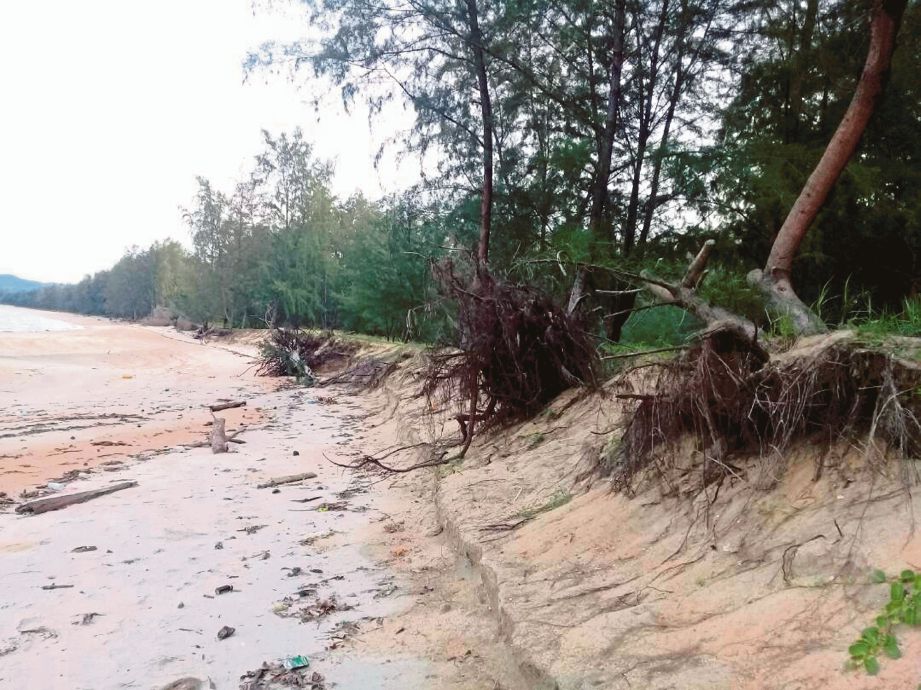 KEADAAN Pantai Kuala Kerteh sepanjang lebih 1 kilometer mengalami hakisan sejak lima tahun lalu.
