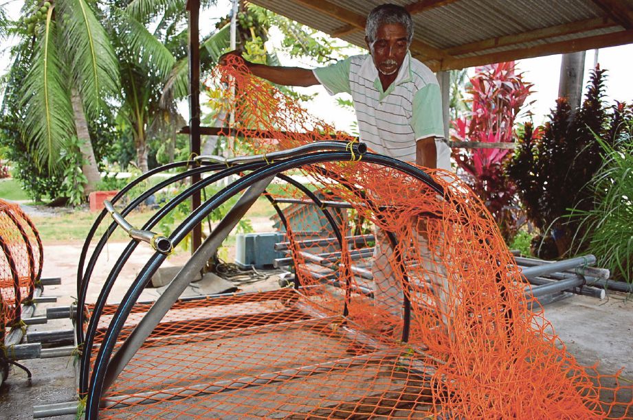 HARON memasang tali jaring pada gelung melengkung untuk dijadikan bubu. 
