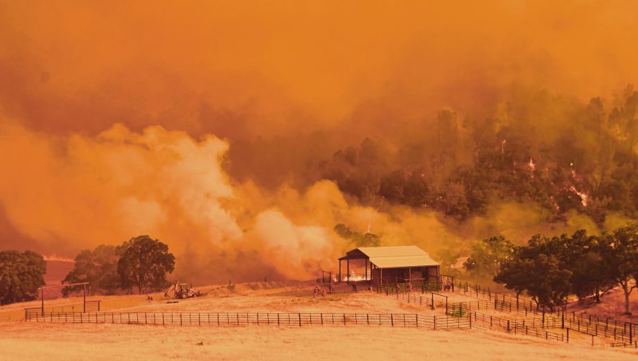 Banduan dikerah memadam kebakaran di Daerah Fire, di Guinda, California. Kebakaran itu sudah memusnahkan kawasan seluas 9,000 hektar. - AFP