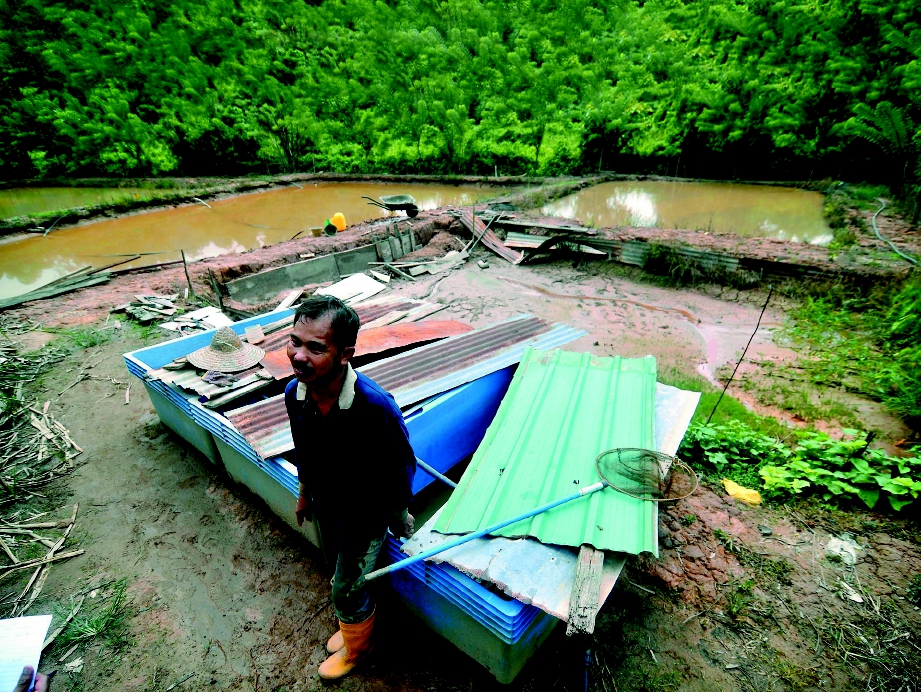 HARUN yang mengusahakan ternakan ikan dan udang di Kampung Baharu. 