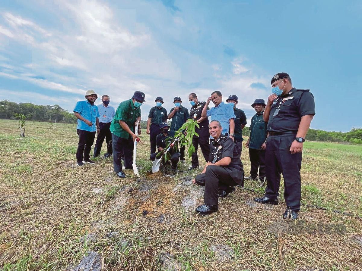 Exco Pertanian, Industri Asas Tani dan Pembangunan Desa negeri Dr Azman Ibrahim menaman pokok mangga king Terengganu sebagai gimik kepada perasmian ladang mangga king Terengganu Penjara Marang. FOTO AHMAD RABIUL ZULKIFLI