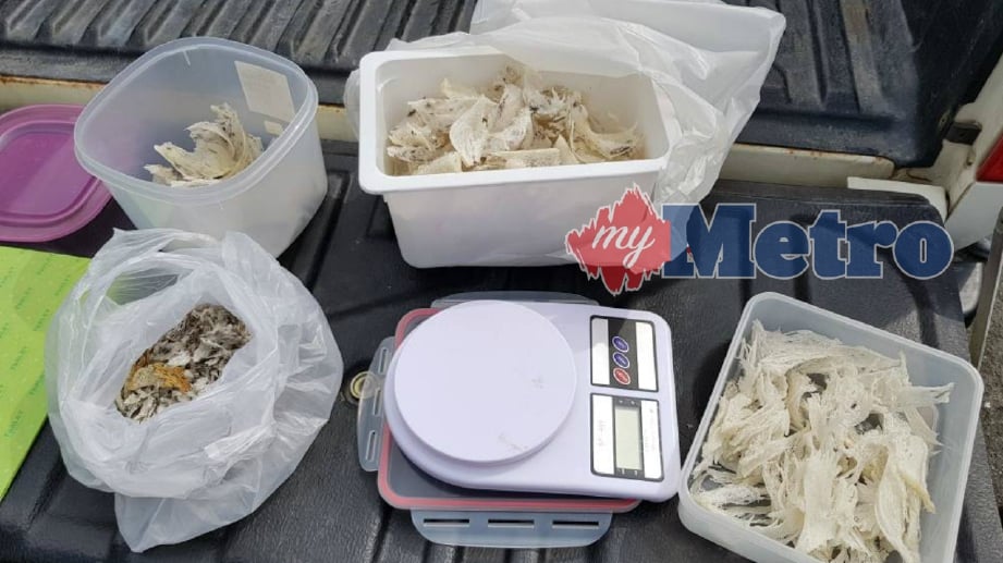 SEBAHAGIAN dari barangan yang dirampas dari suspek kes samun rumah burung walit dalam serbuan di Sibu. FOTO Ihsan PDRM