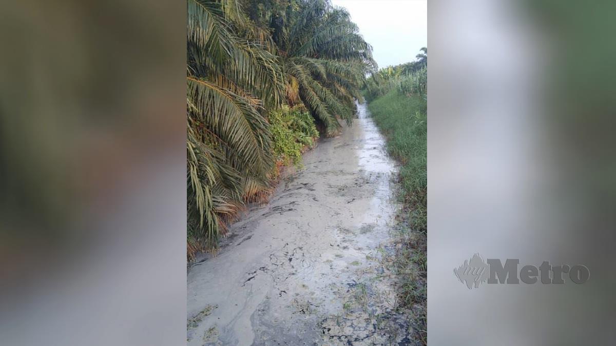  LUAS menerima maklumat daripada orang awam berhubung insiden permasalahan kualiti sumber air yang terjejas di Sungai Serdang, Kapar, lewat petang semalam. FOTO Ihsan LUAS