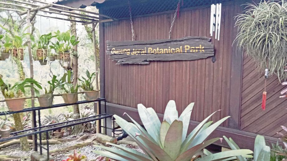  Gunung Jerai Botanical Park  menjadi tempat penanaman semula spesies flora yang kian pupus.
