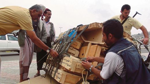 MILITAN yang setia kepada Presiden Abdo membuka tong berisi bantuan yang digugurkan pessawat Saudi, semalam.