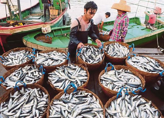 NELAYAN China mengasingkan ikan yang ditangkap mereka.