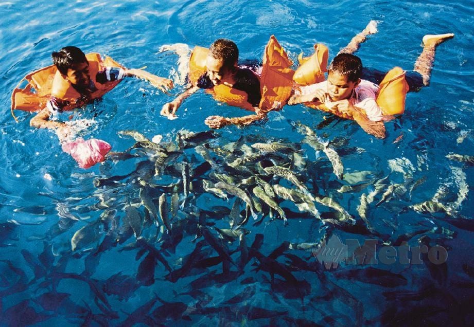 PELBAGAI jenis ikan boleh didapati di Taman Laut, Pulau Tioman.