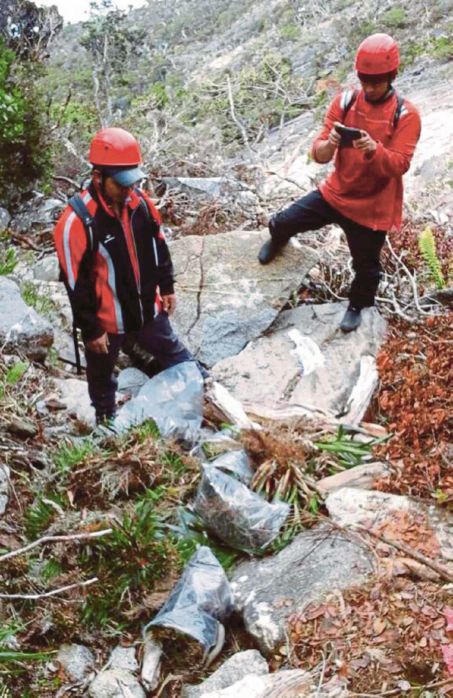 KAKITANGAN Taman-Taman Sabah merakam kerosakan laluan pendakian.
