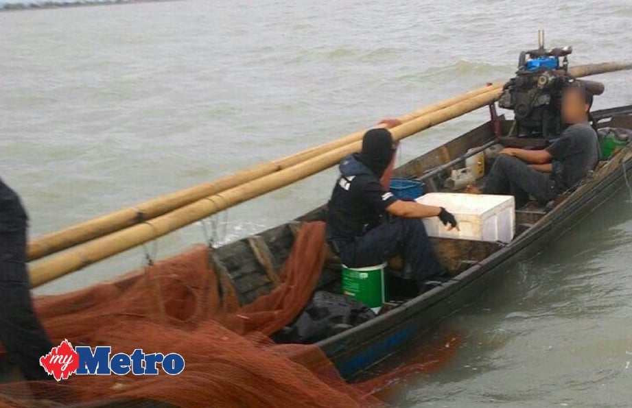 SEORANG lelaki ditahan anggota APMM kerana didapati sedang melakukan aktiviti pengkapan ikan menggunakan pukat rawa sorong di perairan Perlis. FOTO ihsan APMM