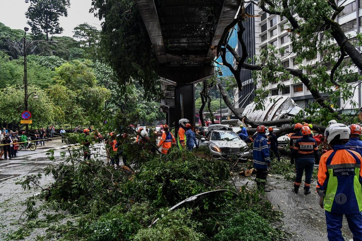  Kejadian pokok tumbang yang menyebabkan sekurang-kurangnya tujuh belas kenderaan terkesan dihempap pokok berkenaan akibat hujan lebat dan angin kencang di Jalan Sultan Ismail, semalam. FOTO BERNAMA
