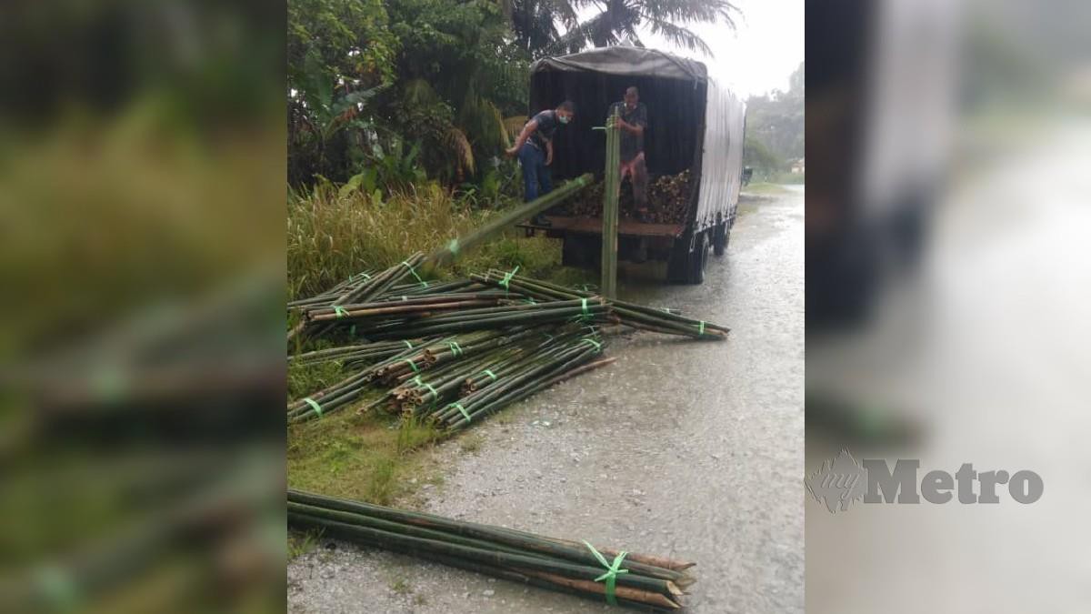 Pemandu lori muatan buluh bertindak membuang buluh di tepi jalan ketika pemeriksaan yang dilakukan oleh penguatkuasa Pejabat Hutan Daerah Perak Selatan di simpang masuk Jalan Kuala Bikam -Teluk Intan,semalam. FOTO Ihsan JPNPk