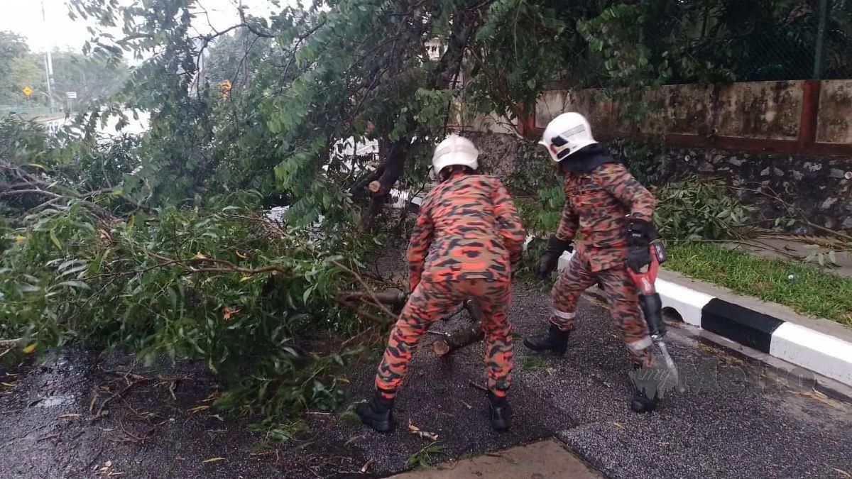 Kejadian pokok tumbang di Taman Tun Dr Ismail, baru-baru ini.