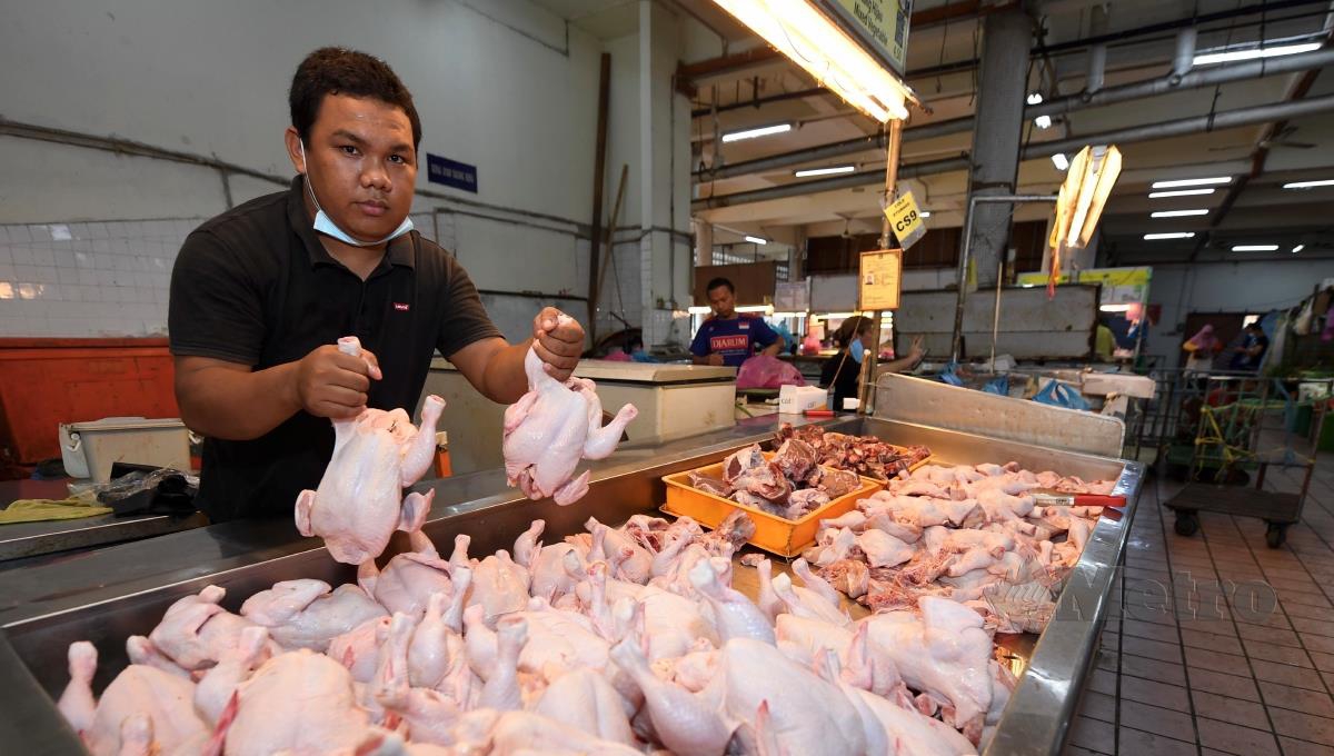 Peniaga Rashid Taha menunjukkan ayam yang dijualnya di Pasar Besar Kota Kinabalu hari ini. FOTO BERNAMA
