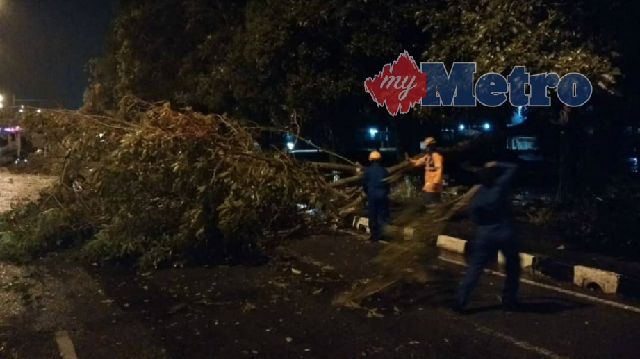 ANGGOTA APM Kota Setar memotong pokok yang tumbang dan menghalang laluan di Titi Gajah dalam kejadian angin kencang dan ribut di Titi Gajah. FOTO Ihsan APM
