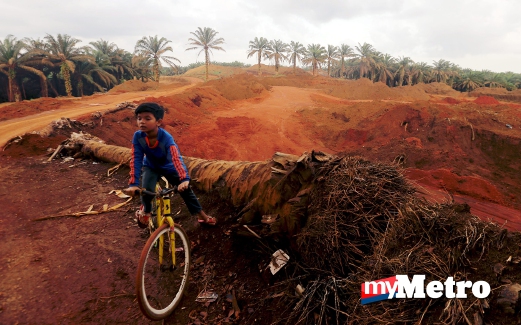 AHMAD Amirul Shahir Zulkifli, 11, bermain basikal di kawasan perlombongan bauksit. Lombong bauksit ini terletak kurang dari 200 meter dari tapak perumahan di Felda Bukit Goh. FOTO Farizul Hafiz Awang