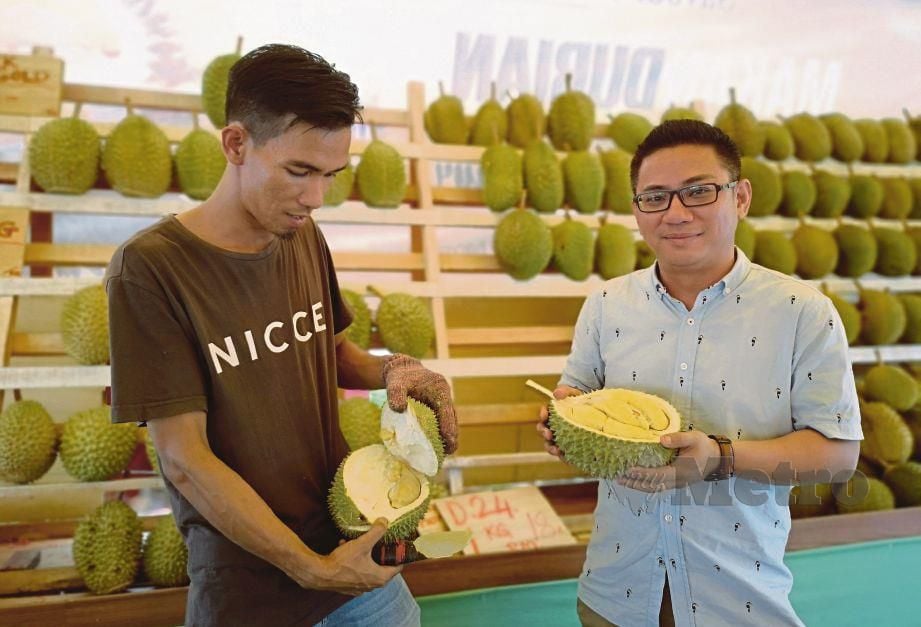 KEN Soon (kanan) bersama pekerjanya menunjukkan buah durian di Gudang Durian N9 miliknya di Jalan Temiang. FOTO Hasriyasyah Sabudin