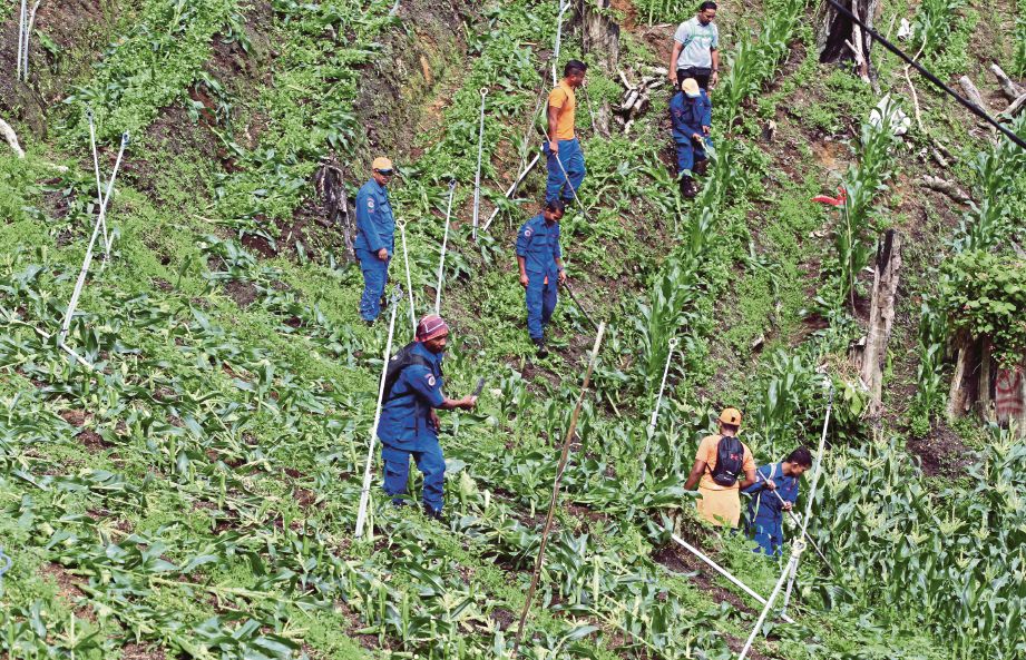 ANGGOTA JPSM dan APM memusnahkan kebun sayur yang ditanam di kawasan hutan simpan.