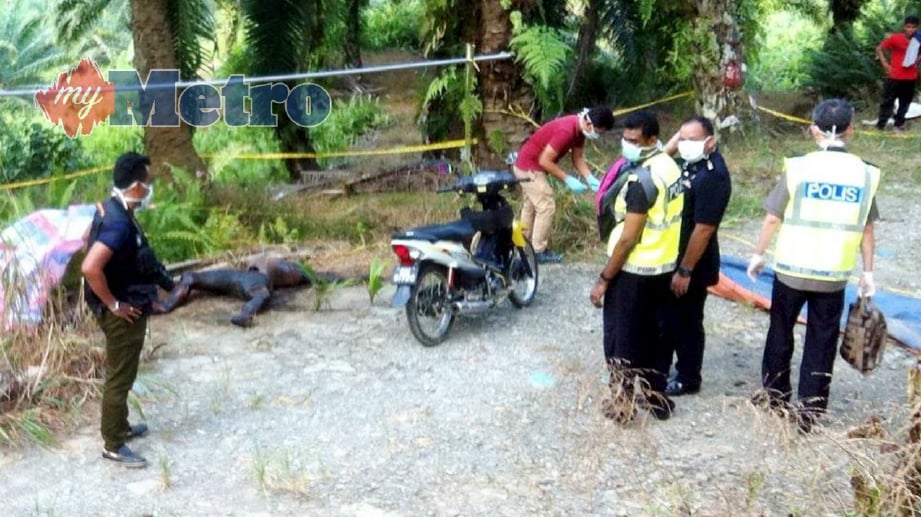 ANGGOTA polis memeriksa keadaan mayat mangsa yang ditemui dalam keadaan terlentang dengan perut berlubang di di sebuah ladang sawit di Batu Niah di Miri. FOTO Ihsan PDRM