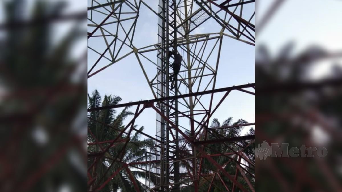 Lelaki yang dipercayai kemurungan berada pada ketinggian kira-kira 30 meter di atas pencawang komunikasi di Estet Sena Bagan sebelum dipujuk bomba. FOTO IHSAN BOMBA