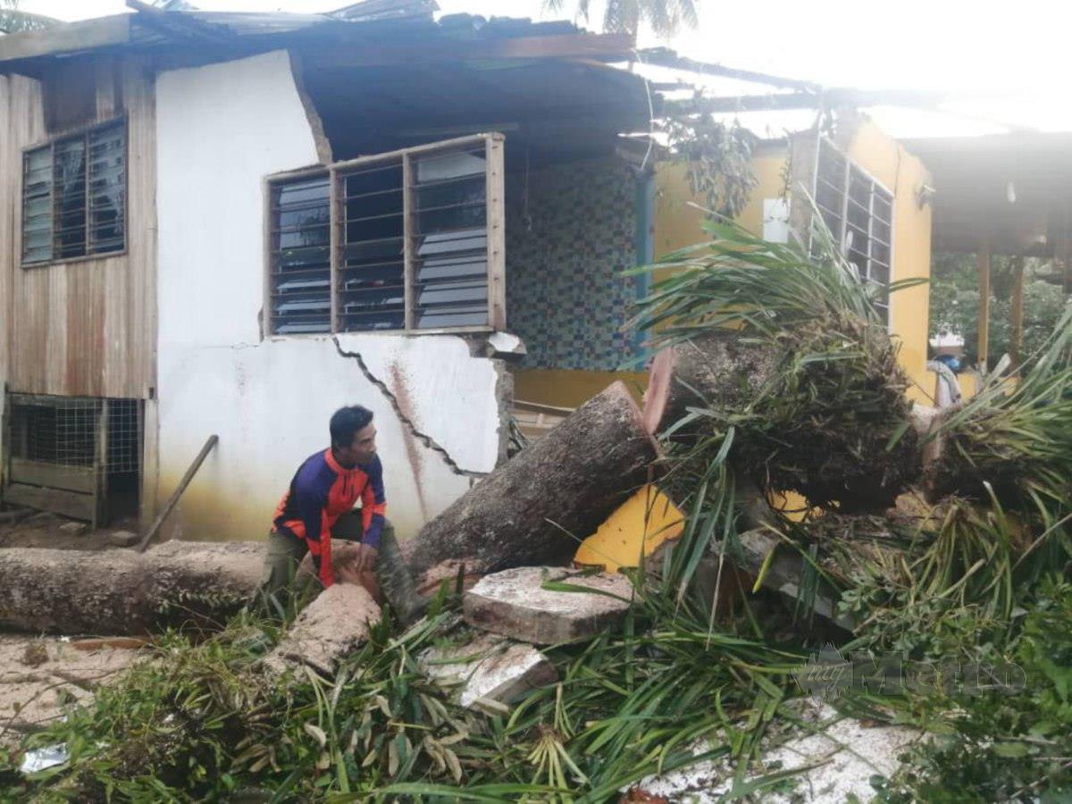 Penduduk membersihkan sisa pokok yang tumbang akibat dilanda ribut. FOTO NAZDY HARUN