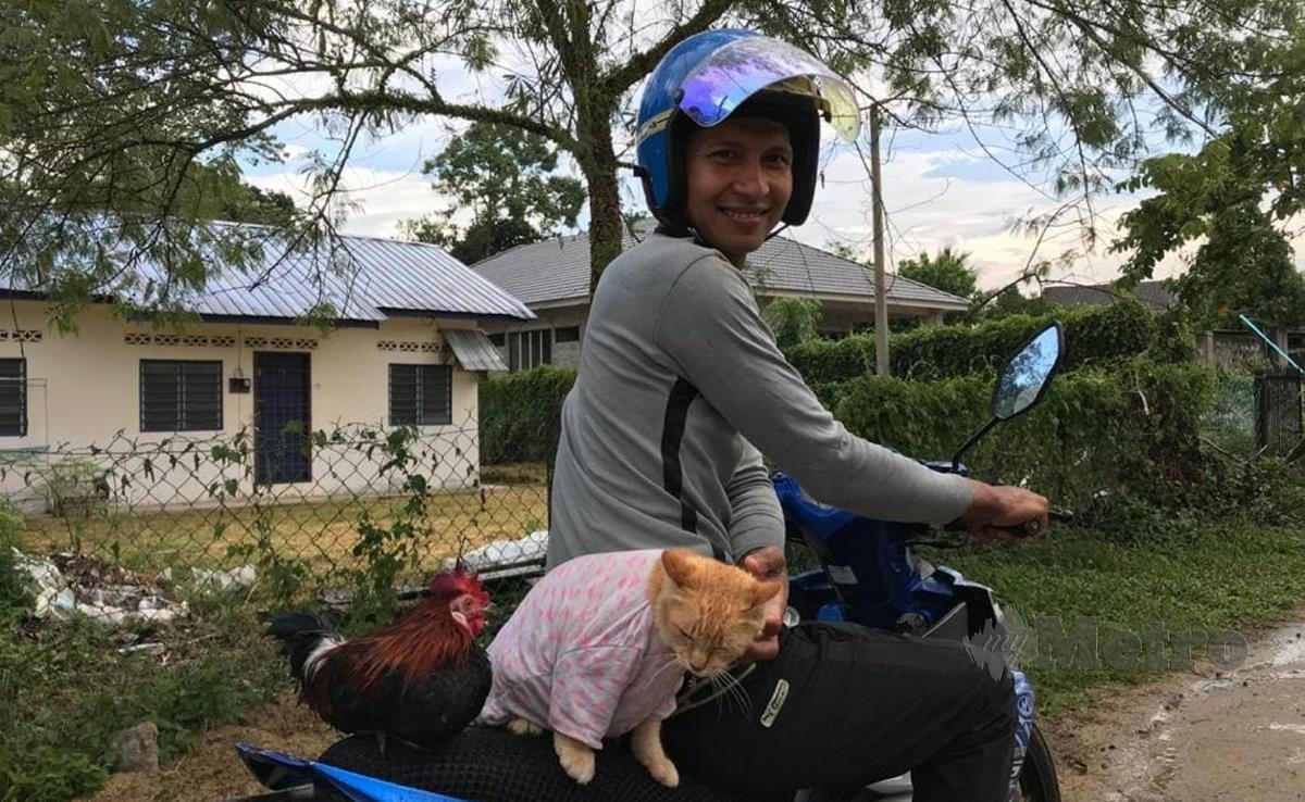 Muhammad Amir Mustapa membawa kucing dan ayam peliharaannya bersiar-siar dengan menunggang motosikal pada setiap petang. FOTO HAZIRA AHMAD ZAIDI