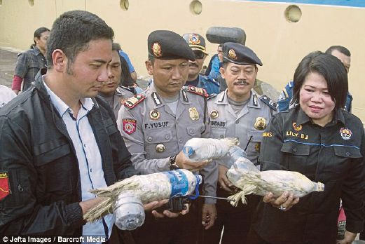 PEGAWAI penguat kuasa Indonesia menunjukkan burung kakak tua yang disumbat dalam botol di Surabaya, semalam. 