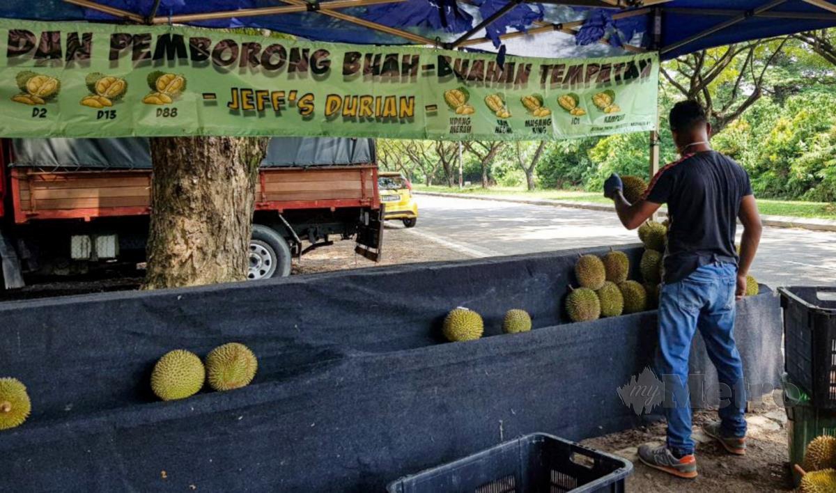Tinjauan jumlah pelanggan yang semakin berkurangan susulan pelaksanaan Perintah Kawalan Pergerakan (PKP) menyebabkan harga durian 'jatuh' sejak beberapa hari lalu. FOTO AZIAH AZMEE